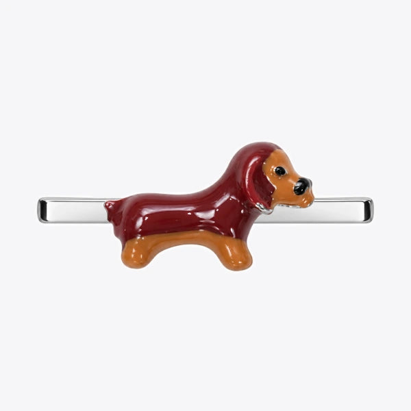 Dachshund