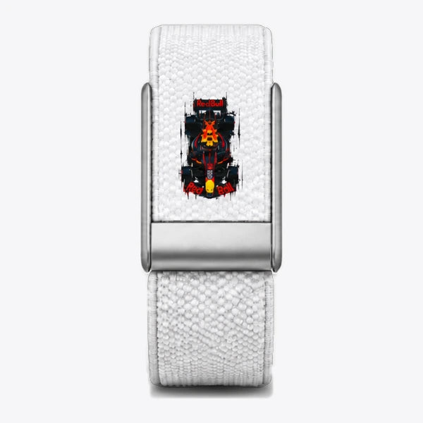 Red Bull F1