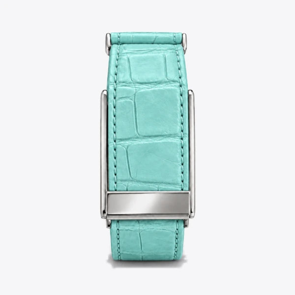 Genuine crocodile — Aqua